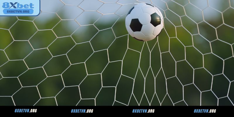 Giới thiệu Bóng Đá 8XBET